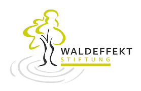 Waldeffekt
